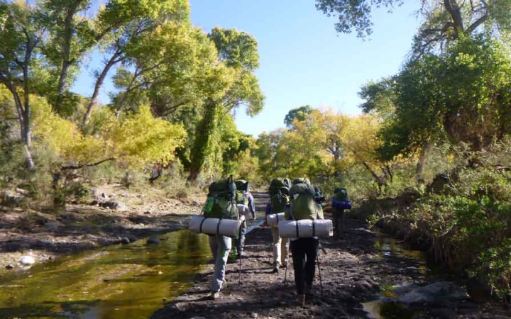 a group of students hike beside a tree-lined creek